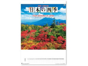 yr[e100~OFFN[|zy񂹁zV{J_[ {̎lG NK8015 py[p[ m[g