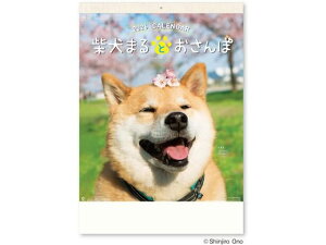 yr[e100~OFFN[|zy񂹁zV{J_[ Č܂ƂۃJ_[ NK8035 py[p[ m[g