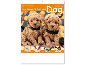 yr[e100~OFFN[|zy񂹁zV{J_[ TL[EhbO NK8454 py[p[ m[g