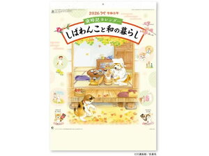 yr[e100~OFFN[|zy񂹁zV{J_[ J_[ ΂񂱂Ƙa̕炵 NK8056 py[p[ m[g