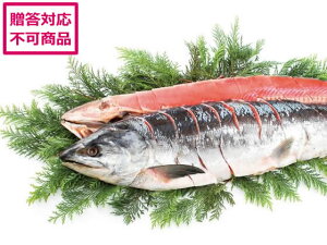 yr[e100~OFFN[|zy[J[zi Vpؐg AR-C17(F)ysz Y Hi Hi 񂹃O av