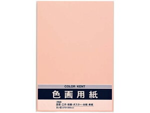 �y���r���[���e��100�~OFF�N�[�|���z�}���A�C �F��p�� N822 �������� 10�� P�G-N82RP �F��p�� ���� �}�� �H�� ���� �w��