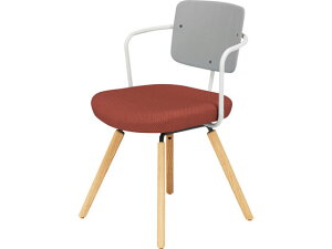 �y���[�J�[�����z�R�N�� �`�F�A ���[�e �؋r �t���[���^�C�v �w���� K16-D03CZ-WAGE2X1�y����s�z�y�g���E�ݒu�E���������z