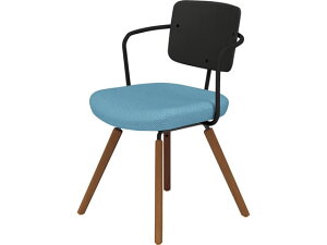 �y���[�J�[�����z�R�N�� �`�F�A ���[�e �؋r �t���[���^�C�v �w���� K16-R03CZ-BR3E6X1�y����s�z�y�g���E�ݒu�E���������z