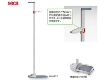 楽天市場】seca 213 ポータブル身長計の通販