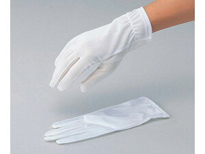 【レビュー投稿で100円OFFクーポン】【お取り寄せ】アズワン 品質管理手袋 LL 10双入 3960B 耐切創手袋 安全保護