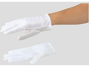 yubNtCf[聚279:59X|Cg2{zy񂹁zAYsA AYsA ho |GXe S 12o BPH-U ϐؑn Sی