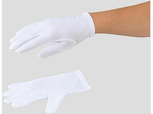 【レビュー投稿で100円OFFクーポン】【お取り寄せ】アズピュア アズピュア 防塵手袋 ウーリーナイロン L 12双入 BNW-N 耐切創手袋 安全保護