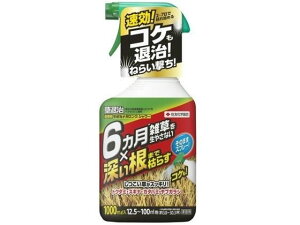 yubNtCf[聚279:59X|Cg2{zy񂹁zZFw| ގKOV[ 1000mlXv[   E | K[fjO