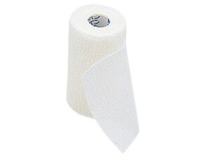 yr[e100~OFFN[|zy񂹁zj`o Lk ZIr(TM)75mm×5m No.755 SLk qޗ