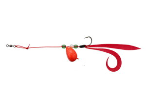 y}\2,000~N[|119:59|Cg2{zy񂹁zWbJ GbOVbgJ[[3 bhS[ht[N d|  o d| ނ AEghA