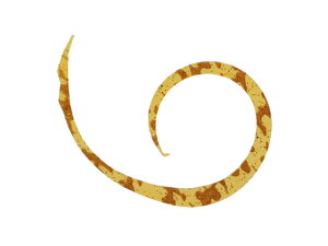 yubNtCf[聚279:59X|Cg2{zy񂹁zWbJ rrXCb`T+lN^C}CNJ[[X #GrI A[֘Ai A[ ֘Ai ނ AE