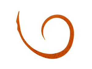 yubNtCf[聚279:59X|Cg2{zy񂹁zWbJ rrXCb`T+lN^C}CNJ[[X #R[ A[֘Ai A[ ֘Ai ނ AEg