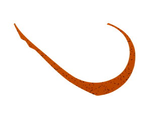 yubNtCf[聚279:59X|Cg2{zy񂹁zWbJ rrXCb`T+lN^C}CNJ[[Ch #R[ A[֘Ai A[ ֘Ai ނ AEg