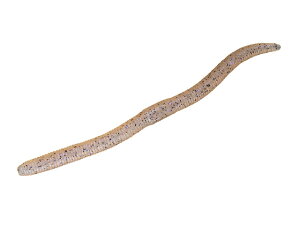 yr[e100~OFFN[|zy񂹁zWbJ tbNVFCN5.8 #XWGr oX \tgA[Xg[g[ A[ tbVEH[^[ ނ AEghA