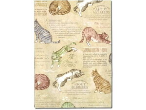 �y���r���[���e��100�~OFF�N�[�|���z�A�[�e�B�~�X �t���[�T�C�Y�u�b�N�J�o�[ �L���b�g FFSBCCAT �u�b�N�J�o�[ �J�o�[�^�C�v �m�[�g