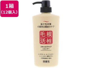 yubNtCf[聚279:59X|Cg2{zy[J[zWERXeBbN э XLvNAVv[ 550mL 12yszXC Vv[ 