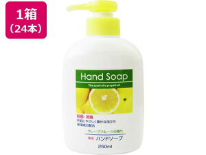 y}\2,000~N[|119:59|Cg2{zy[J[zΌ pnh\[v{ 250mL×24{yszt̃nh\[v nhPA XLPA