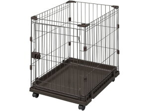 yX[p[SALE2,000~N[|119:59|Cg2{z y[J[zACXI[} Rrl[VT[N 47×65×65 EH[ibgyszyqlgz T[N  