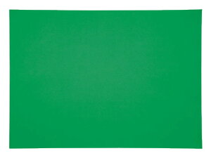 【レビュー投稿で100円OFFクーポン】再生色画用紙 四ツ切 みどり 5枚 4NCR-321 色画用紙 四つ切 図画 工作 教材 学童