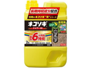 yr[e100~OFFN[|zy񂹁zC{[i lR\MV[V6 2L   E | K[fjO