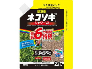 yr[e100~OFFN[|zy񂹁zC{[i lR\MV[V6 GRpE` 2L   E | K[fjO