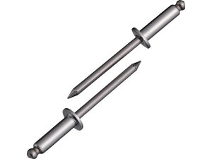 yX[p[SALE2,000~N[|119:59|Cg2{z y񂹁zGr uChxbg(XeX^XeX) 6-16(500{)  NST616 {g ˂ B f Ɨpi H