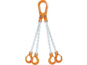 yr[e100~OFFN[|z y񂹁zۈ `F[XO(s^Cv)4{݂E5.1t 4-T-H-8 C[ XO ݋ oT[  