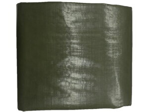 yr[e100~OFFN[|zy񂹁z^JCN 4000 ODO[V[g 5.4m×5.4m OGS-413 J[V[g  S 