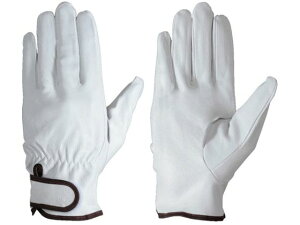 yr[e100~OFFN[|zy񂹁zV ؖ{v܃}WbN PL717 L PL717 L ؊v v  PU Ɨp