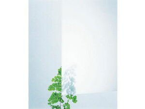 yr[e100~OFFN[|zy񂹁z ANLXg  2×300×450 iV AC32-234 AN f ˂ {g B f Ɨpi H