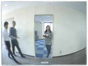 yr[e100~OFFN[|zy񂹁zR~[ FF~[ʘH[Ep] 650×485 FT65 S~[ K[W~[  S 