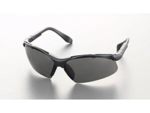 yr[e100~OFFN[|zy񂹁zGXR ی߂ X[N A`tHO EA800AR-90 Kl S[O hЖ Sی 