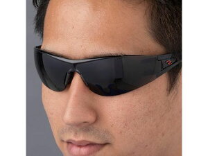 yX[p[SALE2,000~N[|119:59|Cg2{z y񂹁zGXR ی߂ X[N ̓A`tHO EA800AR-105 Kl S[O hЖ Sی 