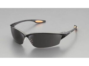 yr[e100~OFFN[|zy񂹁zGXR ی߂ X[N A`tHO EA800CA-21 Kl S[O hЖ Sی 