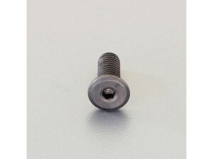 【レビュー投稿で100円OFFクーポン】【お取り寄せ】エスコ 六角穴付ボルト 超低頭 クロメート 2本 M10×10mm ネジ関連 筐体 機構部材 金物