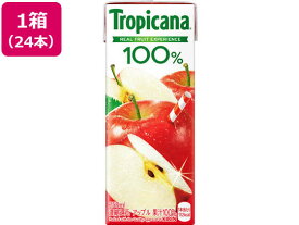 キリン トロピカーナ 100% アップル 250ml 24本 果汁飲料 野菜ジュース 缶飲料 ボトル飲料