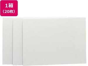 【レビュー投稿で100円OFFクーポン】送料無料【お取り寄せ】プラチナ 紙貼りパネル A2判 5mm厚×20枚 ACA2CP-5 のり付きパネル スチレンボード ポップ 吊り下げ POP 掲示