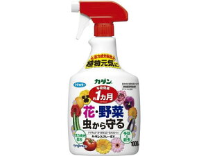 yr[e100~OFFN[|zt}L[ J_Xv[EX 1000ml E   | K[fjO