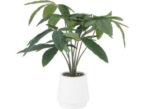 yr[e100~OFFN[|zy[J[zsf tFCNO[ pL Z~bN|bg 41128yszlHA tFCNO[ GgX CtH[V I