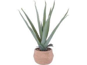 yr[e100~OFFN[|zy[J[zsf tFCNO[ AG S Zg|bg 41134yszlHA tFCNO[ GgX CtH[V I