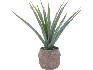 yr[e100~OFFN[|zy[J[zsf tFCNO[ AG M Zg|bg 41136yszlHA tFCNO[ GgX CtH[V I