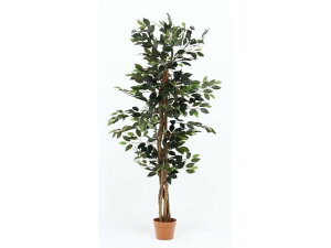 yr[e100~OFFN[|zy[J[zsf ϗtA tBJX 690 A 52661yszlHA tFCNO[ GgX CtH[V ItBXƋ