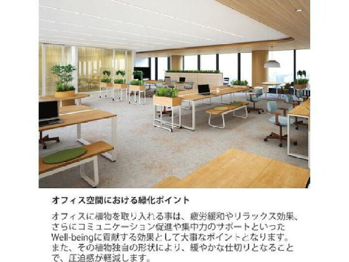 楽天市場】【店内全品ポイント2倍☆28日9:59迄】【メーカー直送 