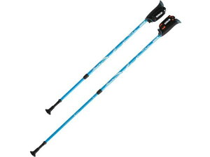 yr[e100~OFFN[|z y񂹁zHH DFP vObVuY[ 2{1g Cgu[ XebL Ԉ֎q s⏕  qޗ