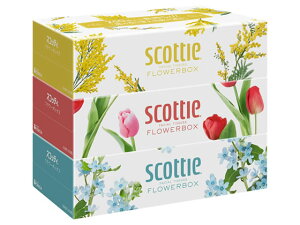 yڋʏiIzNVA XRbeB eBV[ t[{bNX 250g 3 41330 eBbVy[p[