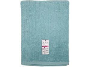 �y�}���\������2000�~�N�[�|�����|�C���g2�{16��9:59���z�� �t���b�s�[�J���[ ���唻�o�X�^�I�� �O���[�� LN446604 �唻�o�X�^�I�� �Ɩ��p�^�I��