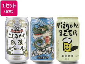 新潟/クラフトビール 飲み比べ6本セット