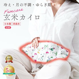 【月の半分以上不調を感じたら】COCOFA 温活 クーラー冷え 玄米カイロ 全身用 大 温活 生理 妊活 プレ更年期 冷え 産後 妊活 頭痛 温め 温活 子宮温活 膣温活 腸活 出産祝い ホットパット 誕生日プレゼント ギフト