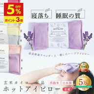 【5月18日まで5%OFF+P3倍★お買い物マラソン】アイピロー 母の日 安眠グッズ ハーブ ホットアイピロー CO…